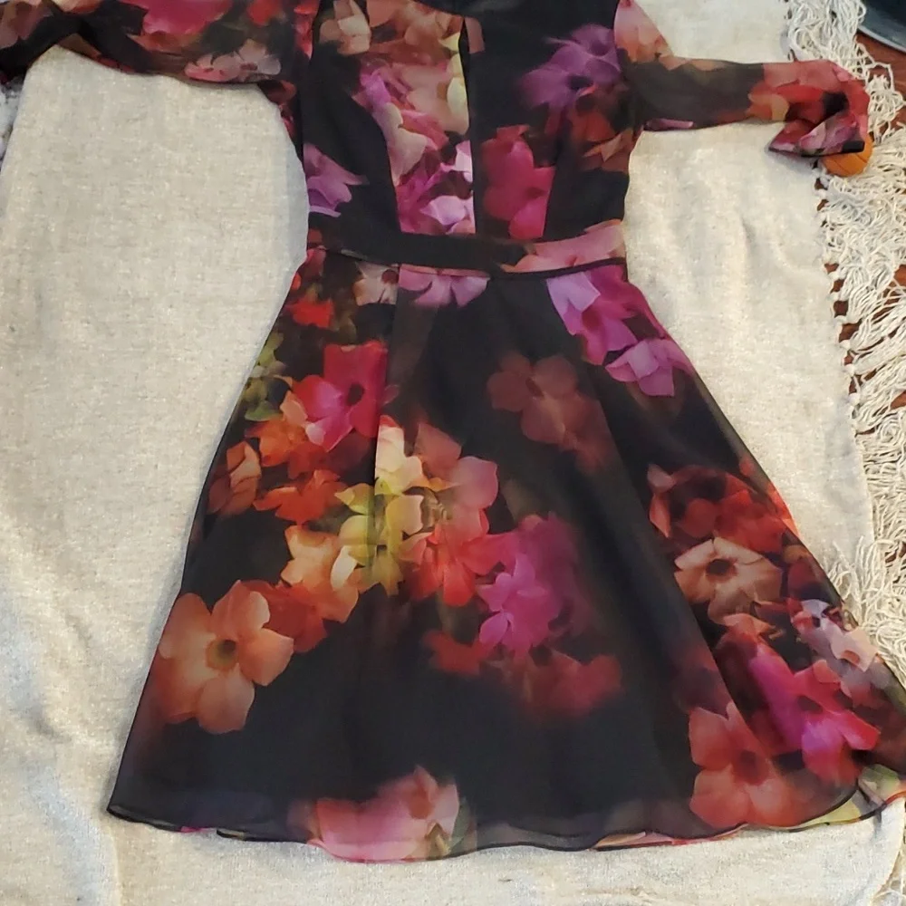 Ted Baker floral dress - Picture 12 of 17